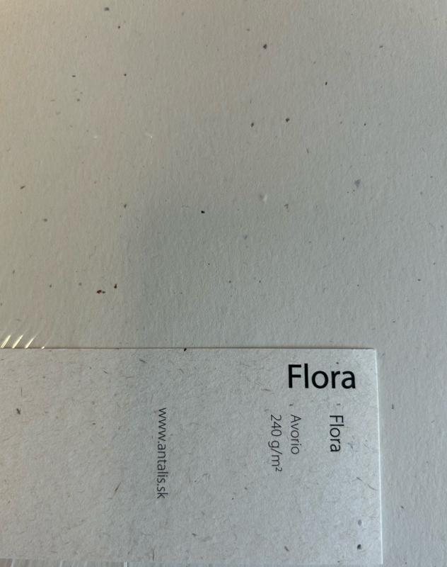 FLORA Avorio, 240 g/m2, A4