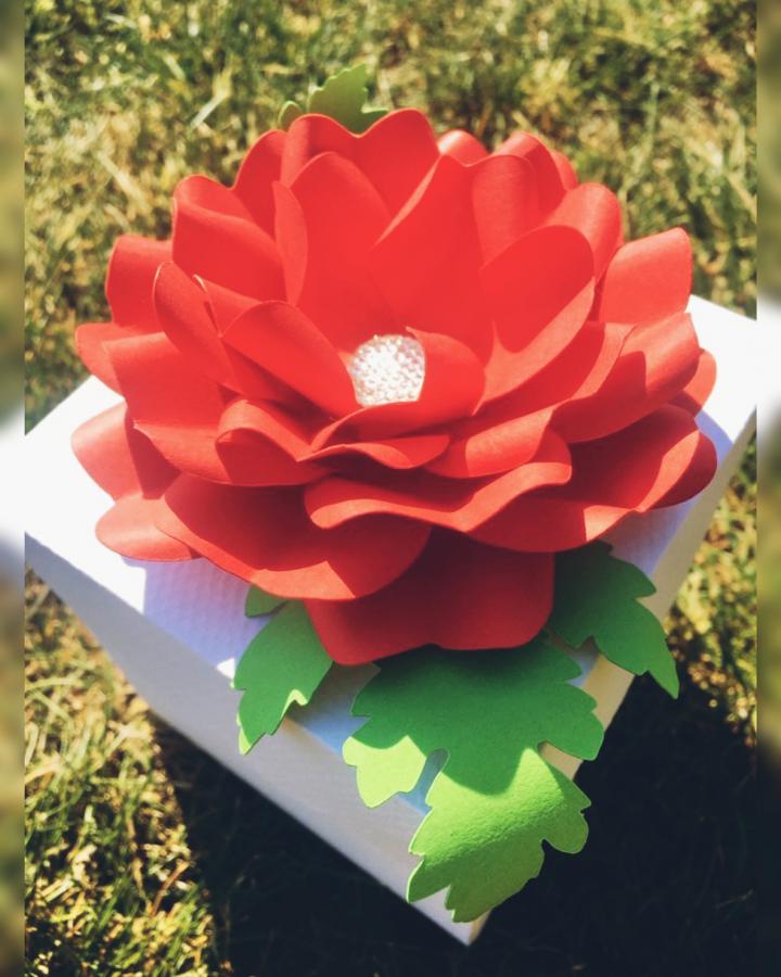 Darčeková krabička - Red Poppy