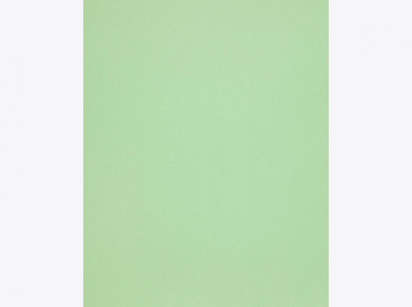 Olin Colours, Spring Green, 170 g/m2
