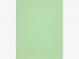 Olin Colours, Spring Green, 170 g/m2